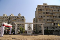 Aayush Park Actual Photo